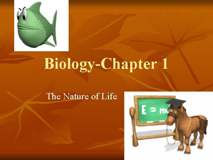 Biology-Chapter 1 The Nature of Life 