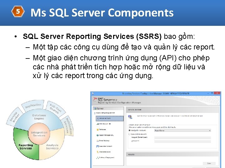 5 Ms SQL Server Components • SQL Server Reporting Services (SSRS) bao gồm: –