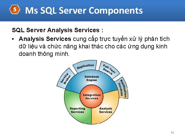 5 Ms SQL Server Components SQL Server Analysis Services : • Analysis Services cung