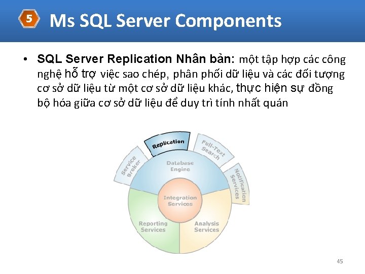 5 Ms SQL Server Components • SQL Server Replication Nhân bản: một tập hợp