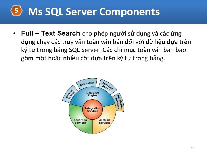 5 Ms SQL Server Components • Full – Text Search cho phép người sử