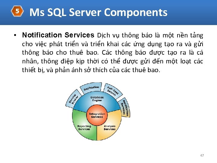 5 Ms SQL Server Components • Notification Services Dịch vụ thông báo là một