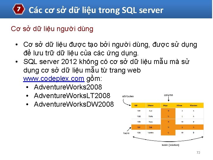 7 Các cơ sở dữ liệu trong SQL server Cơ sở dữ liệu người