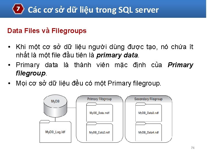 7 Các cơ sở dữ liệu trong SQL server Data Files và Filegroups •