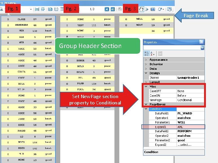 Pg. 1 K Pg. 2 Pg. 3 Page Break Group Header Section Set New.