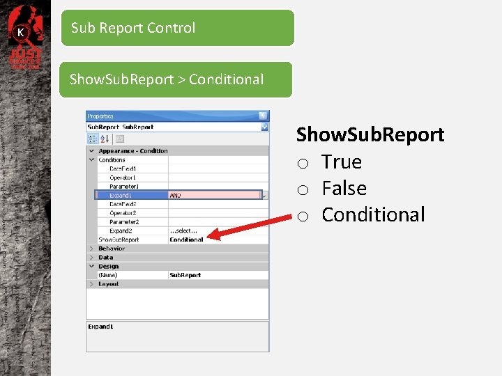 K Sub Report Control Show. Sub. Report > Conditional Show. Sub. Report o True
