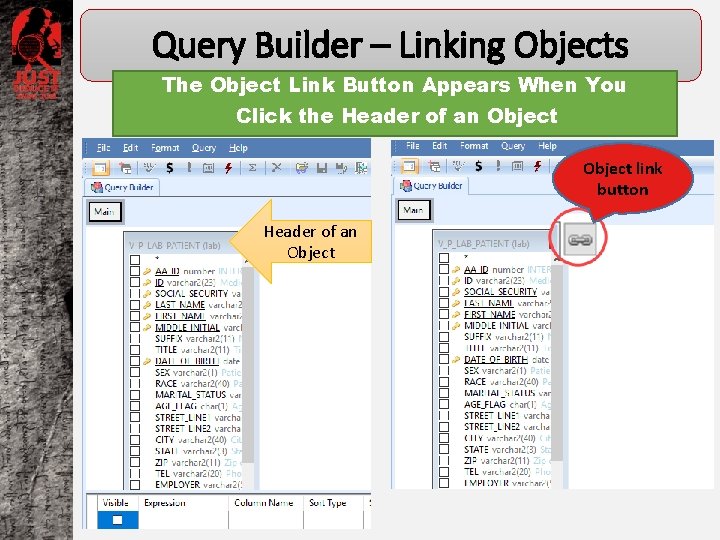 Query Builder – Linking Objects The Object Link Button Appears When You Click the