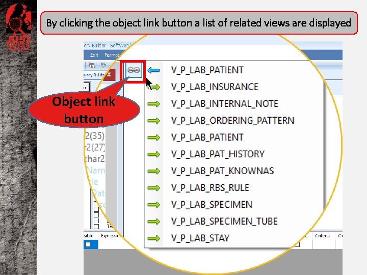 By clicking the object link button a list of related views are displayed Object