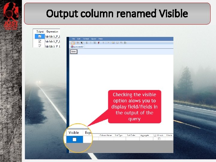 Output column renamed Visible 