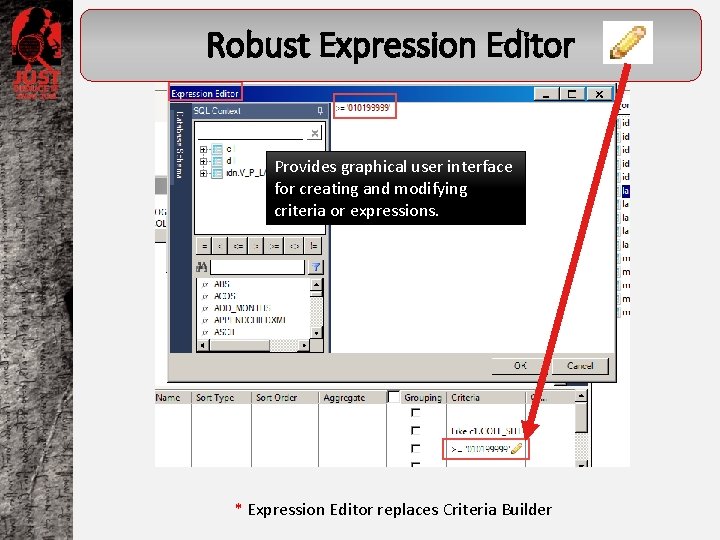 Robust Expression Editor Provides graphical user interface for creating and modifying criteria or expressions.