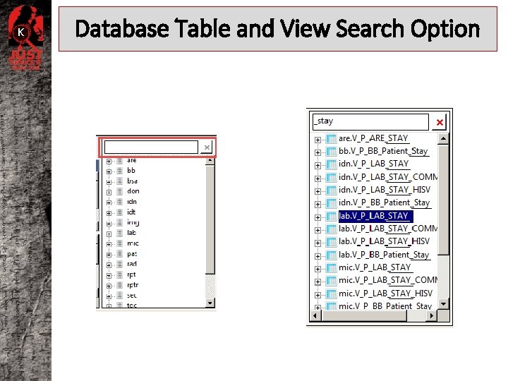 K Database Table and View Search Option 