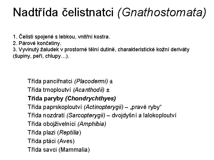 Nadtřída čelistnatci (Gnathostomata) 1. Čelisti spojené s lebkou, vnitřní kostra. 2. Párové končetiny. 3.