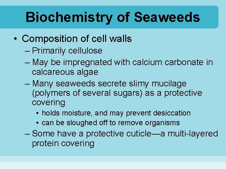 Biochemistry of Seaweeds • Composition of cell walls – Primarily cellulose – May be