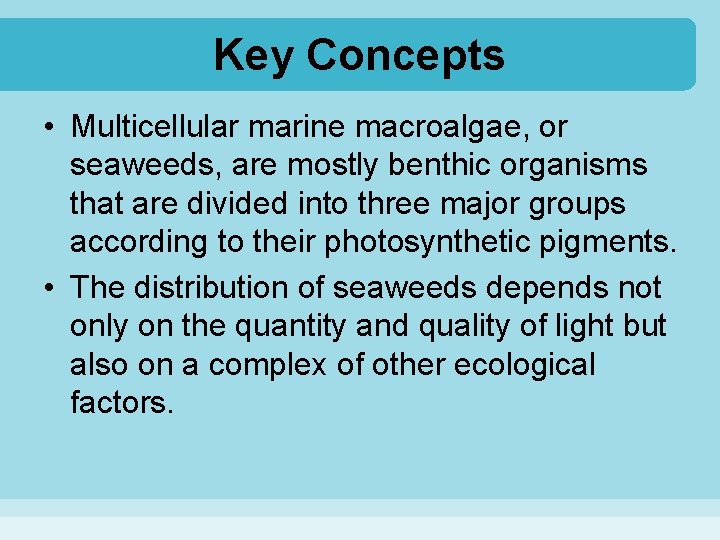 Key Concepts • Multicellular marine macroalgae, or seaweeds, are mostly benthic organisms that are