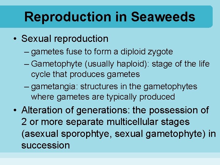 Reproduction in Seaweeds • Sexual reproduction – gametes fuse to form a diploid zygote