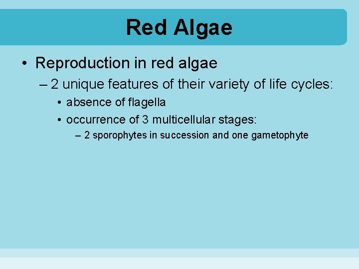 Red Algae • Reproduction in red algae – 2 unique features of their variety