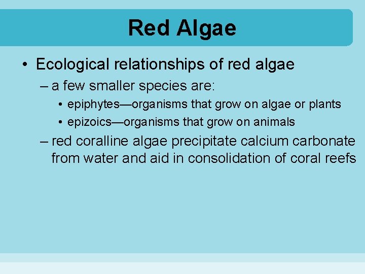 Red Algae • Ecological relationships of red algae – a few smaller species are: