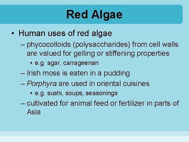 Red Algae • Human uses of red algae – phycocolloids (polysaccharides) from cell walls