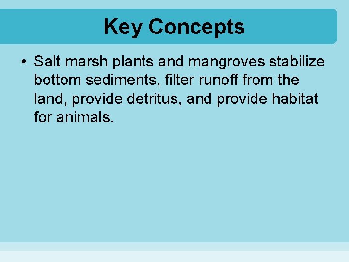 Key Concepts • Salt marsh plants and mangroves stabilize bottom sediments, filter runoff from