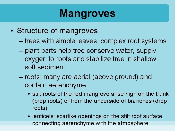 Mangroves • Structure of mangroves – trees with simple leaves, complex root systems –