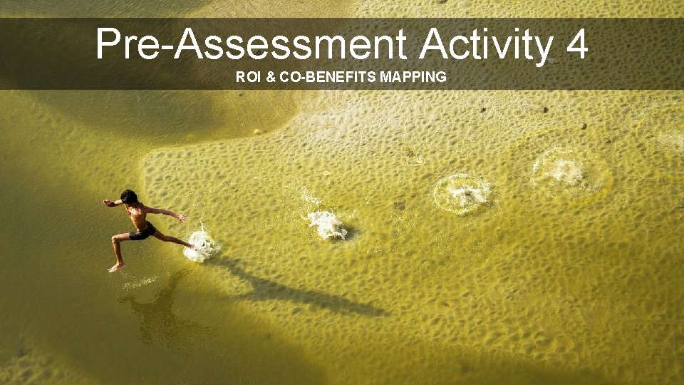 Pre-Assessment Activity 4 ROI & CO-BENEFITS MAPPING 