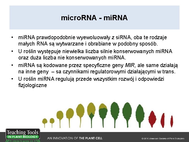 micro. RNA - mi. RNA • mi. RNA prawdopodobnie wyewoluowały z si. RNA, oba
