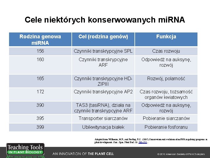 Cele niektórych konserwowanych mi. RNA Rodzina genowa mi. RNA Cel (rodzina genów) Funkcja 156