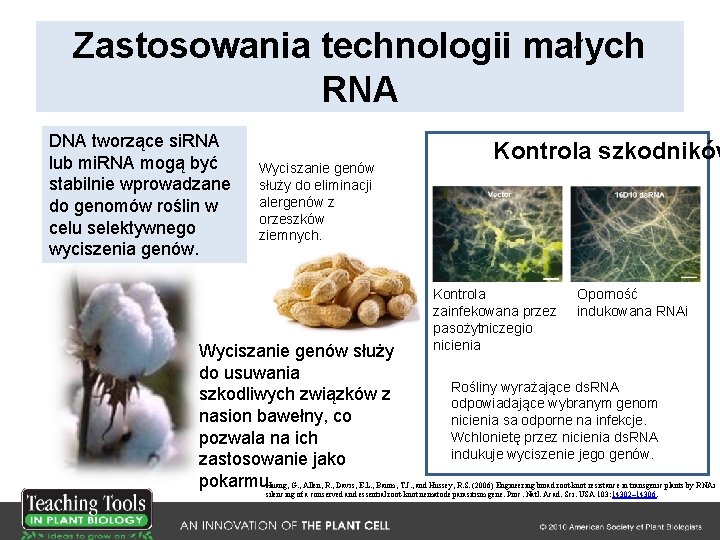 Zastosowania technologii małych RNA DNA tworzące si. RNA lub mi. RNA mogą być stabilnie