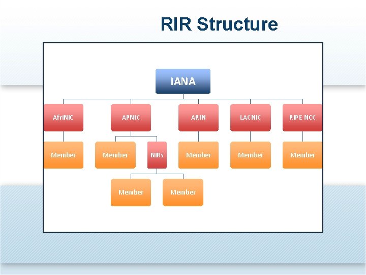 RIR Structure IANA Afri. NIC Member APNIC Member NIRs ARIN LACNIC RIPE NCC Member