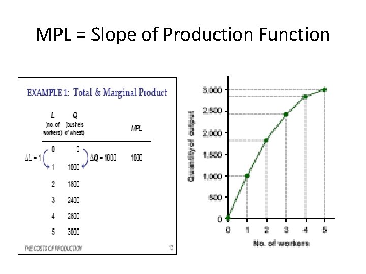 MPL = Slope of Production Function 