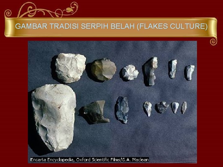 GAMBAR TRADISI SERPIH BELAH (FLAKES CULTURE) 