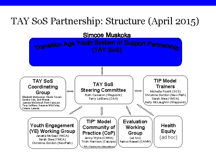 TAY So. S Partnership: Structure (April 2015) TAY So. S Coordinating Group Elizabeth Mc.