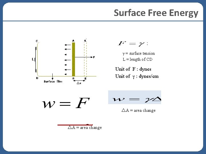 Surface Free Energy γ = surface tension L = length of CD Unit of Surface Free Energy γ = surface tension L = length of CD Unit of