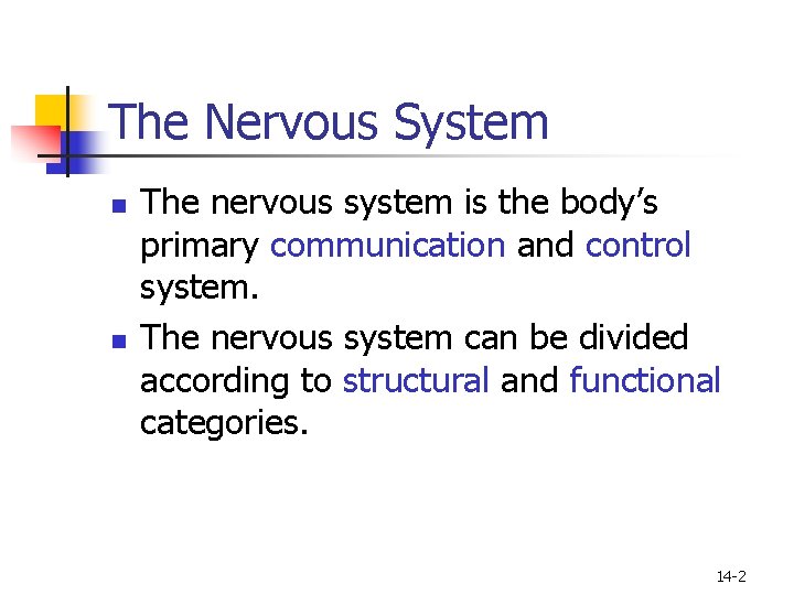 The Nervous System n n The nervous system is the body’s primary communication and