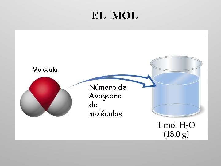 EL MOL Molécula Número de Avogadro de moléculas 