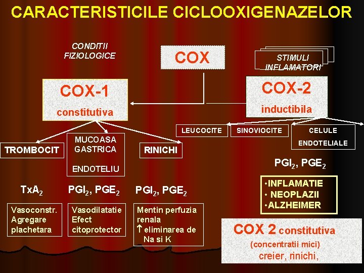 CARACTERISTICILE CICLOOXIGENAZELOR CONDITII FIZIOLOGICE COX STIMULI INFLAMATORI COX-1 COX-2 constitutiva inductibila LEUCOCITE TROMBOCIT MUCOASA