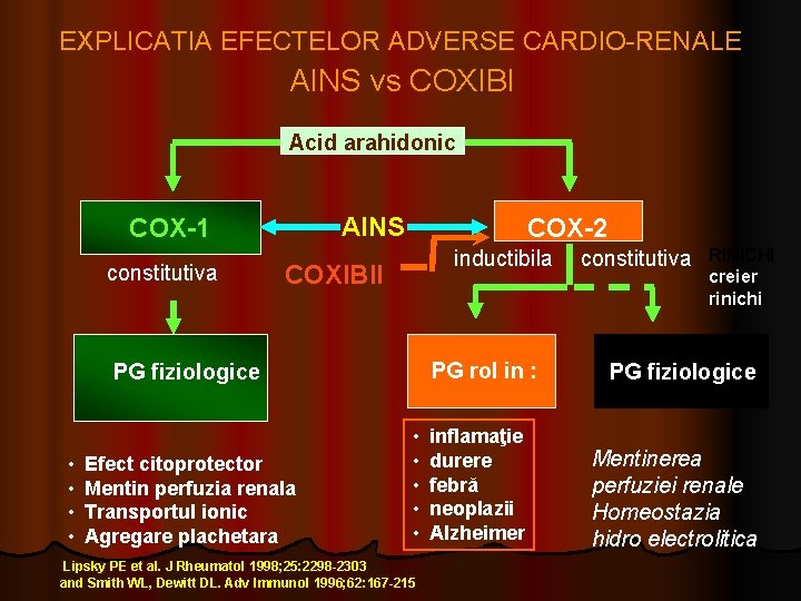 EXPLICATIA EFECTELOR ADVERSE CARDIO-RENALE AINS vs COXIBI Acid arahidonic AINS COX-1 constitutiva COX-2 inductibila