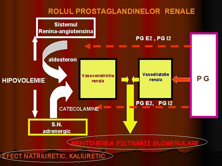 ROLUL PROSTAGLANDINELOR RENALE Sistemul Renina-angiotensina PG E 2 , PG I 2 aldosteron Vasoconstrictie