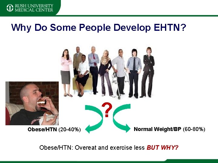 Why Do Some People Develop EHTN? ? Obese/HTN (20 -40%) Normal Weight/BP (60 -80%)