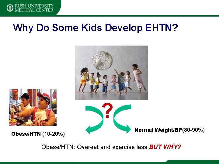 Why Do Some Kids Develop EHTN? ? Obese/HTN (10 -20%) Normal Weight/BP(80 -90%) Obese/HTN: