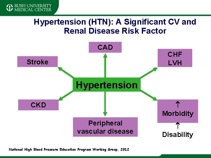 Hypertension (HTN): A Significant CV and Renal Disease Risk Factor CAD Stroke CHF LVH