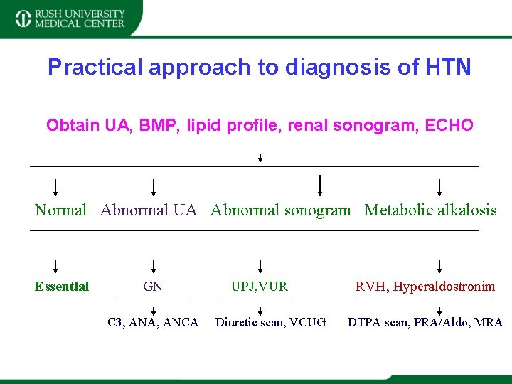 Practical approach to diagnosis of HTN Obtain UA, BMP, lipid profile, renal sonogram, ECHO