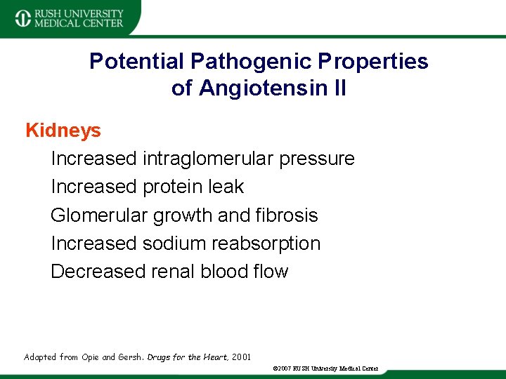 Potential Pathogenic Properties of Angiotensin II Kidneys Increased intraglomerular pressure Increased protein leak Glomerular