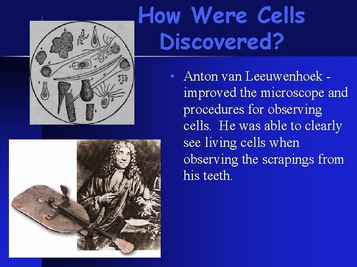 How Were Cells Discovered? • Anton van Leeuwenhoek improved the microscope and procedures for How Were Cells Discovered? • Anton van Leeuwenhoek improved the microscope and procedures for