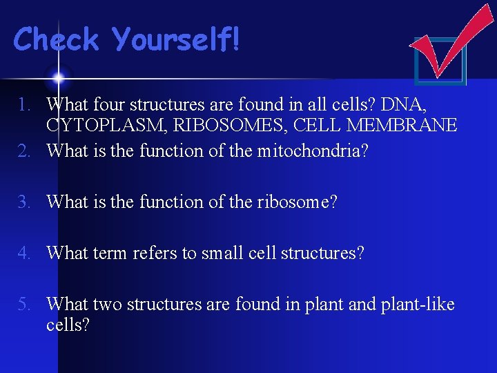 Check Yourself! 1. What four structures are found in all cells? DNA, CYTOPLASM, RIBOSOMES, Check Yourself! 1. What four structures are found in all cells? DNA, CYTOPLASM, RIBOSOMES,