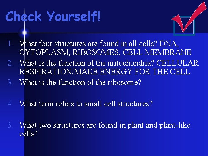Check Yourself! 1. What four structures are found in all cells? DNA, CYTOPLASM, RIBOSOMES, Check Yourself! 1. What four structures are found in all cells? DNA, CYTOPLASM, RIBOSOMES,