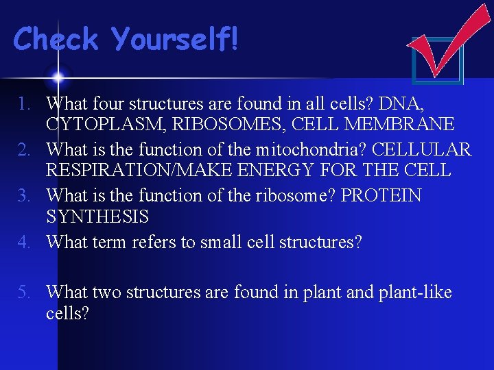 Check Yourself! 1. What four structures are found in all cells? DNA, CYTOPLASM, RIBOSOMES, Check Yourself! 1. What four structures are found in all cells? DNA, CYTOPLASM, RIBOSOMES,