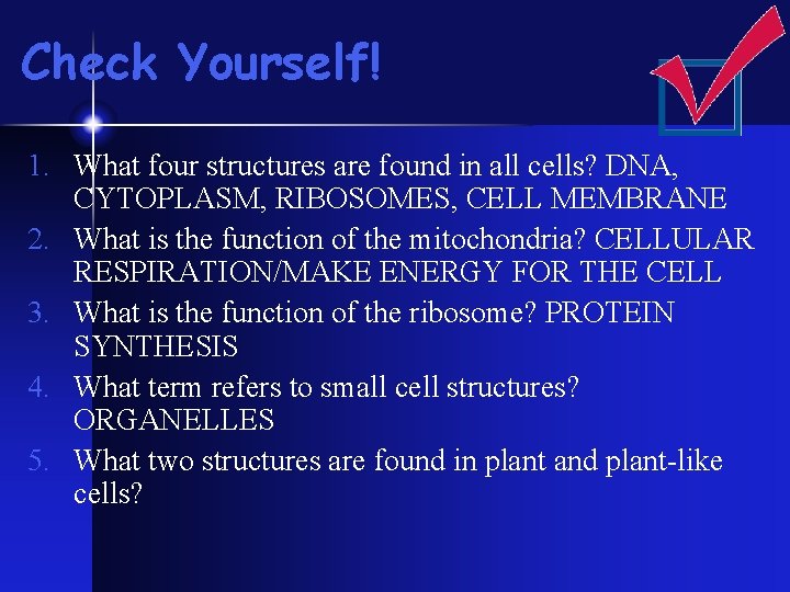 Check Yourself! 1. What four structures are found in all cells? DNA, CYTOPLASM, RIBOSOMES, Check Yourself! 1. What four structures are found in all cells? DNA, CYTOPLASM, RIBOSOMES,