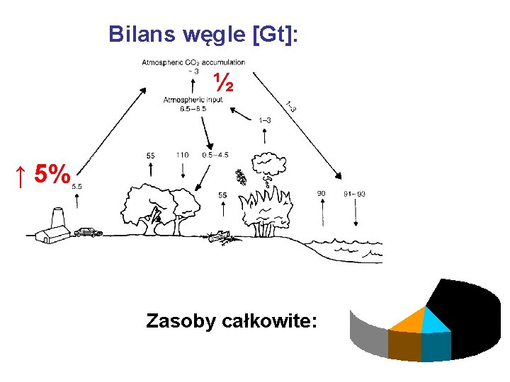 Bilans węgle [Gt]: ½ ↑ 5% Zasoby całkowite: 