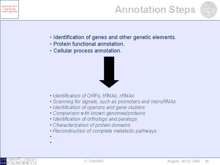 Annotation Steps • Identification of genes and other genetic elements. • Protein functional annotation.